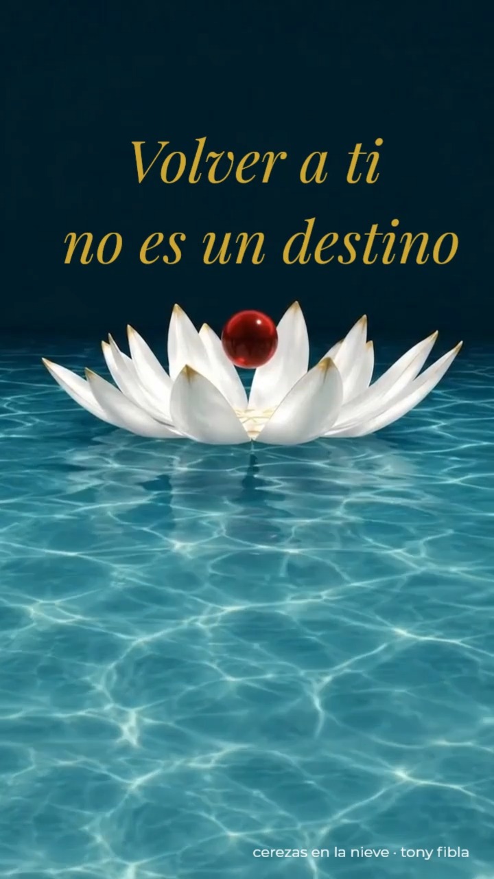 Volver a ti no es un destino. Es un movimiento...
Comenta CEREZA y te mando mi test de apego

📸 via inssist.com